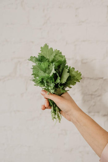 BIO - mustár saláta mix